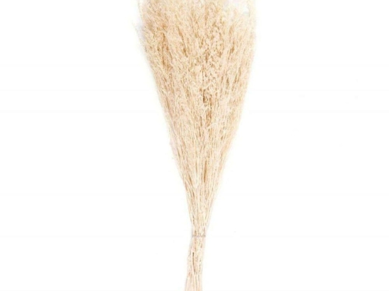 Διακοσμητικά Λουλούδια Statice Natural LBTAH-AX21026 70cm Beige Andrea House