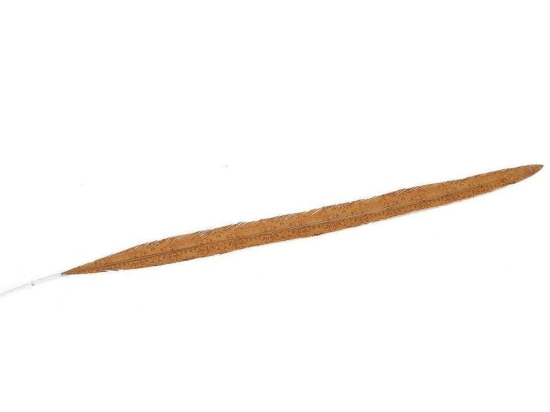 Φτερό Διακοσμητικό FTE234K6 70cm Brown Espiel Χαρτί