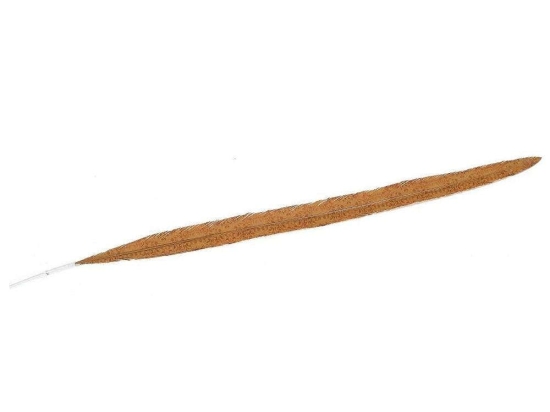 Φτερό Διακοσμητικό FTE235K6 80cm Brown Espiel Χαρτί