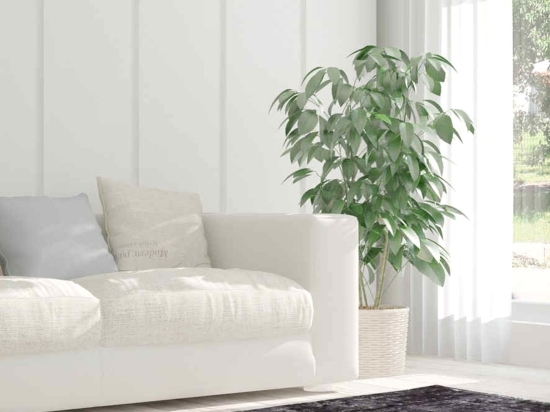 Χαλί Vintage 8404 Grey Arte Espina 200X290cm