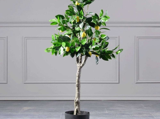 Τεχνητό Δέντρο Λεμονιά 5340-6 80x120cm Green Supergreens Ξύλο,Ύφασμα