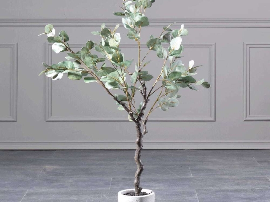 Τεχνητό Δέντρο Παχίρα 5440-6 70x123cm Green Supergreens Πολυαιθυλένιο,Ύφασμα
