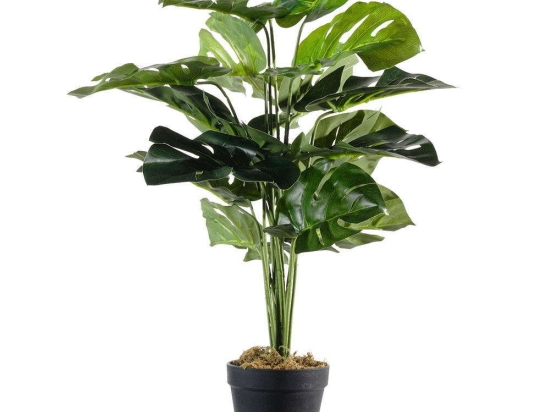 Τεχνητό Φυτό Μονστέρα Minima 2070-6 25x60cm Green Supergreens Πολυαιθυλένιο