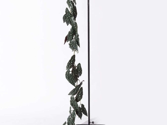 Τεχνητή Γιρλάντα Μπιγκόνια Maculata 5261-7 170cm Green Supergreens Πολυαιθυλένιο