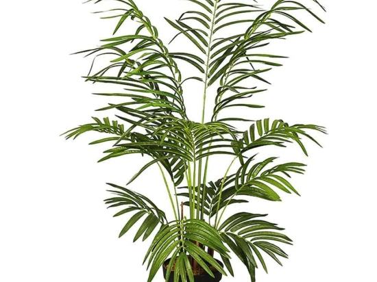 Τεχνητό Δέντρο Αρέκα Hawaii 0180-6 60x120cm Green Supergreens Πολυαιθυλένιο