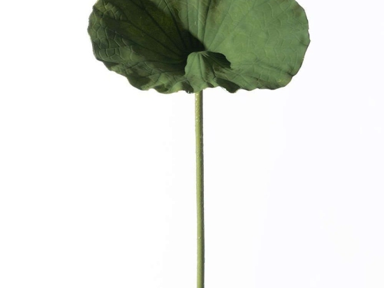 Τεχνητό Κλωνάρι Φαρφούκιο 4851-7 25x70cm Green Supergreens Πολυαιθυλένιο