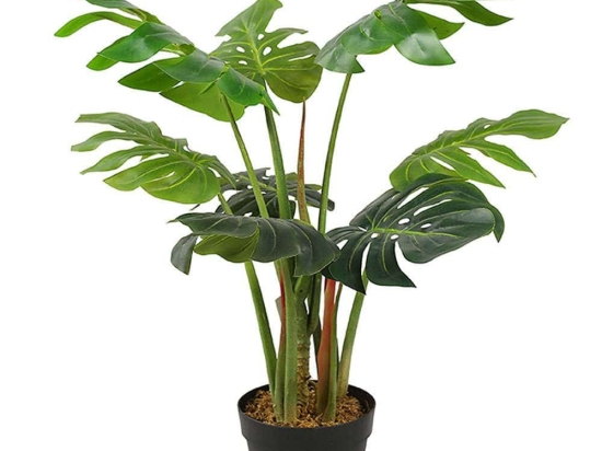 Τεχνητό Φυτό Μονστέρα Deliciosa 4350-6 55x80cm Green Supergreens Πολυαιθυλένιο