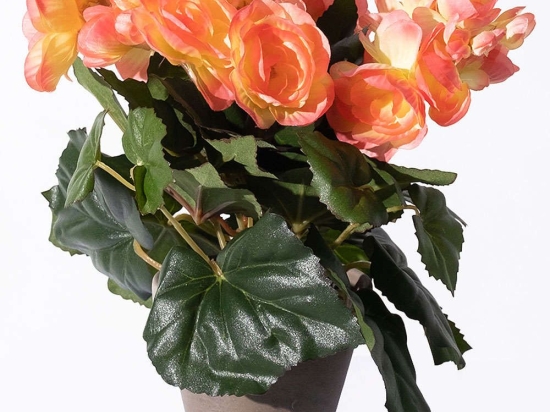 Τεχνητό Φυτό Μπιγκόνια 7390-6 20x20x25cm Pink Supergreens Πολυέστερ
