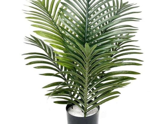 Τεχνητό Φυτό Φοίνικας Palma 0511-6 60cm Green Supergreens Ύφασμα,Πλαστικό
