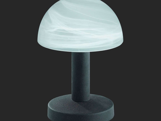 Φωτιστικό Επιτραπέζιο Fynn 21x15cm Rusty-White Brushed 599000124 Trio Lighting Μέταλλο,Γυαλί