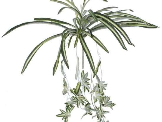 Τεχνητό Κλαδί-Φυτό Spider 78217 60cm Green-White GloboStar Πλαστικό