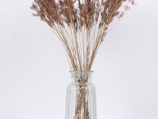 Μπουκέτο Αποξηραμένο Cyperus 36500 60cm (Ακαθόριστος Αριθμός Τμχ) Beige-Brown Globostar