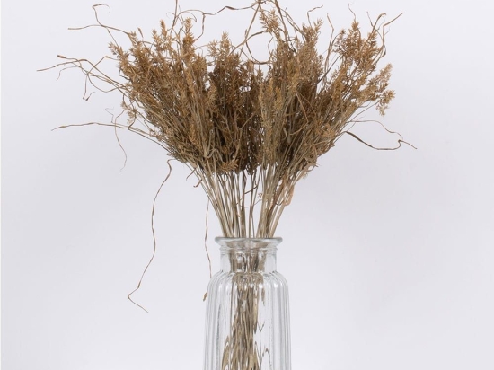 Μπουκέτο Αποξηραμένο Ferngrass 36556 60cm (Ακαθόριστος Αριθμός Τμχ) Beige Globostar