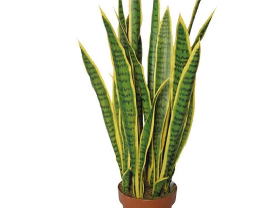 Τεχνητό Φυτό Σε Γλάστρα Μαγκουέη 04-00-95035 105cm Green-Yellow Marhome Συνθετικό Υλικό