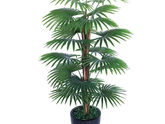 Τεχνητό Δέντρο Πάλμα 04-00-16045 120cm Green Marhome Συνθετικό Υλικό