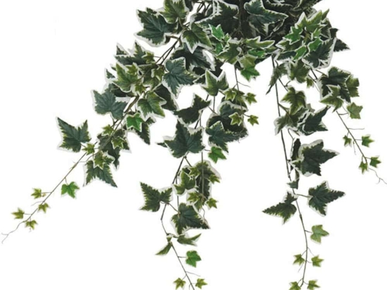 Τεχνητό Κρεμαστό Φυτό Κισσός 00-00-1838 100cm Green-White Marhome Συνθετικό Υλικό