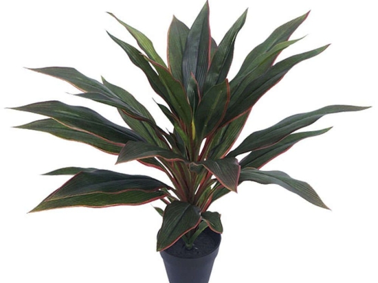 Τεχνητό Φυτό Σε Γλάστρα Δράκαινα 04-00-18818 48cm Green-Red Marhome Πλαστικό