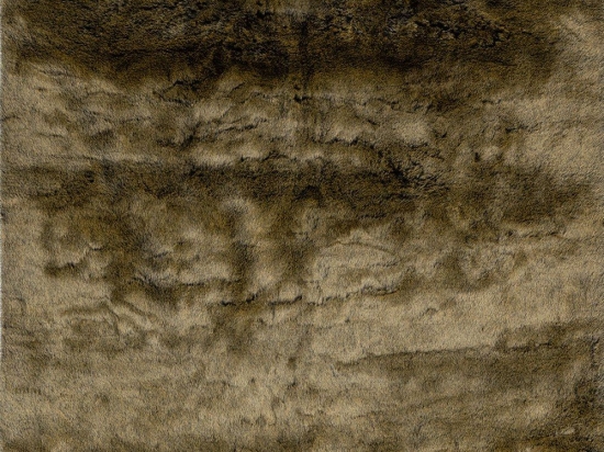 Χαλί Samba Sab 495 Taupe Obsession 160X230cm