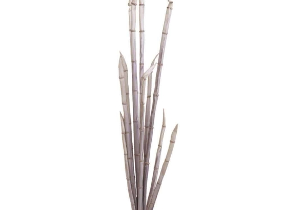 Διακοσμητικό Κλαδί-Φυτό 3-85-246-0191 Υ120 Green-Purple Inart Πλαστικό