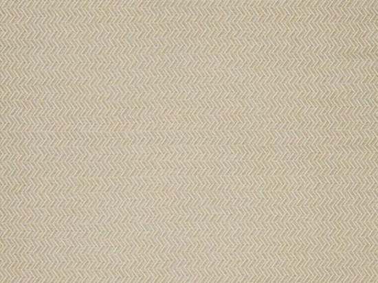 Χαλί Canvas 1069F Beige NewPlan 200X290cm