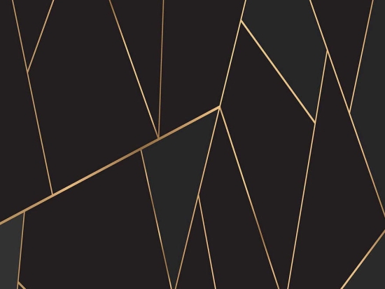 Χαλί Exfab321 593HFT1883 Black-Gold Conceptum Hypnose 100X200cm