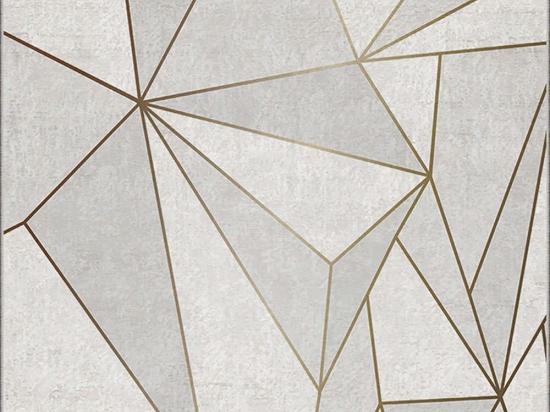 Χαλί Asr Crpt-106 288NGR2210 Silver-Gold Conceptum Hypnose 120X180cm