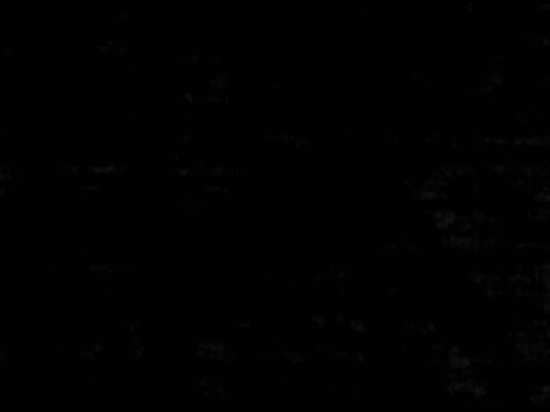 Χαλί Trendy Shiny Black Carpet Couture 200X300cm