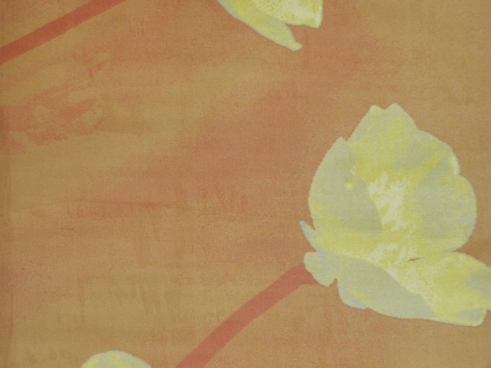 Χαλί Mistral 5450 Orange 160X230cm