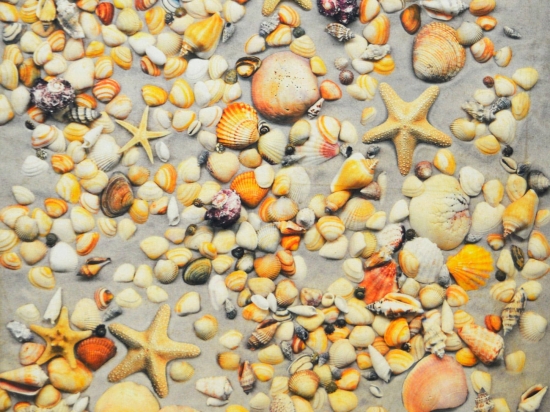 Χαλί Heaven 5403 Beige 200X275cm