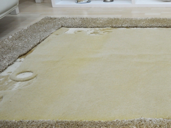 Χαλί Pierre Gardin 821 Beige 160X230cm