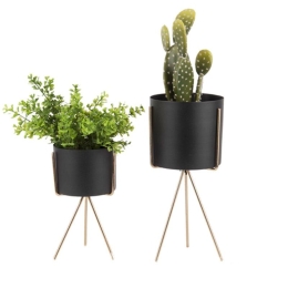 Κασπώ Pedestal (Σετ 2Τμχ) PT3426BK Black Present Time Μέταλλο