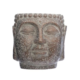 Κασπώ Βούδας 07.168504 Φ17,5cm Brown Τσιμέντο