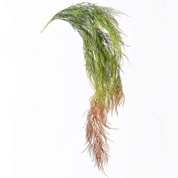 Τεχνητή Κρεμαστή Φτέρη 7361-7 15x83cm Green-Red Supergreens Πολυαιθυλένιο