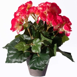 Τεχνητό Φυτό Μπιγκόνια 4390-6 20x20x25cm Dark Pink Supergreens Πολυέστερ