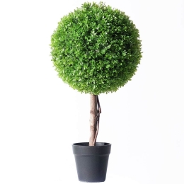 Τεχνητό Φυτό Πυξάρι Μπονσάι 3680-6 60cm Green Supergreens Πολυαιθυλένιο
