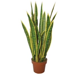 Τεχνητό Φυτό Σε Γλάστρα Μαγκουέη 04-00-95035 105cm Green-Yellow Marhome Συνθετικό Υλικό
