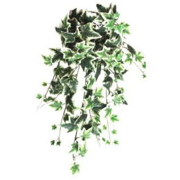 Τεχνητό Κρεμαστό Φυτό Κισσός 00-00-1568 90cm Green-White Marhome Συνθετικό Υλικό