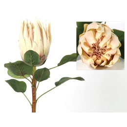Λουλούδι Protea 06-0533 68Ycm Creme-Pink Πλαστικό