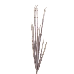 Διακοσμητικό Κλαδί-Φυτό 3-85-246-0191 Υ120 Green-Purple Inart Πλαστικό