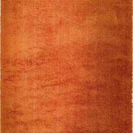 Χαλί Payton Orange Asiatic London 120X170cm