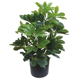 Τεχνητό Φυτό Σε Γλάστρα Σεφλέρα 04-00-18713 61cm Green Marhome Συνθετικό Υλικό