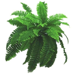 Τεχνητό Κρεμαστό Φυτό Φτέρη 00-00-1563 80x60cm Green Marhome Συνθετικό Υλικό