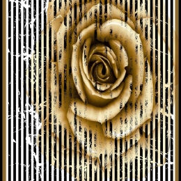 Χαλί Exfab294 593HFT1586 Gold-Black-White Conceptum Hypnose 140X220 cm