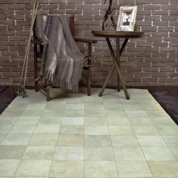 Χαλί Senses Aslanis 369 Beige 160X230cm