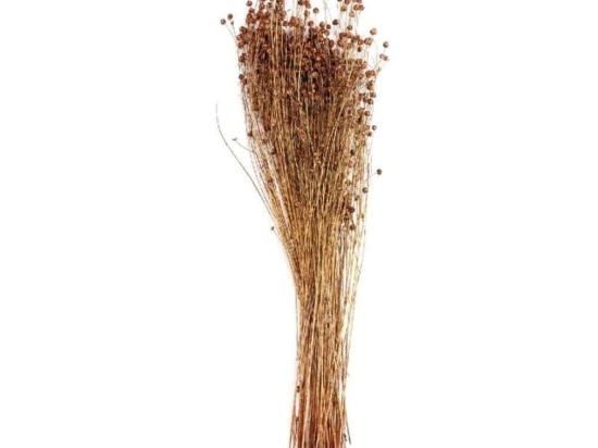 Μπουκέτο Αποξηραμένο Lino AH-AX71136 70cm Natural Andrea House