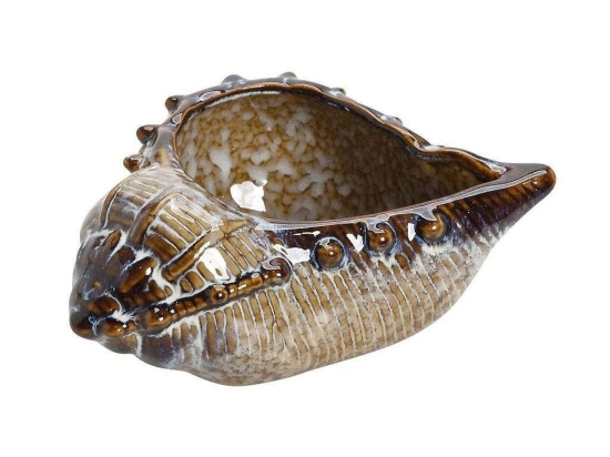 Διακοσμητικό Κοχύλι VAT114 Πολύχρωμο 13X24,5X17Cm Espiel Κεραμικό
