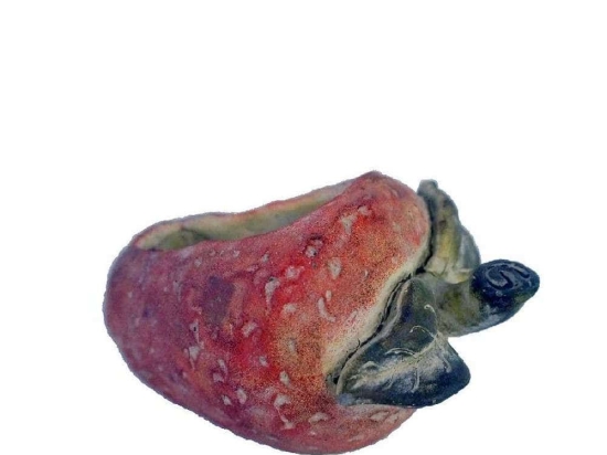 Κασπώ Φράουλα JOE210 20x14,5x12cm Red-Green Espiel Τσιμέντο