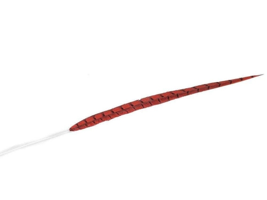 Φτερό Διακοσμητικό FTE217K6 55cm Red Espiel Χαρτί
