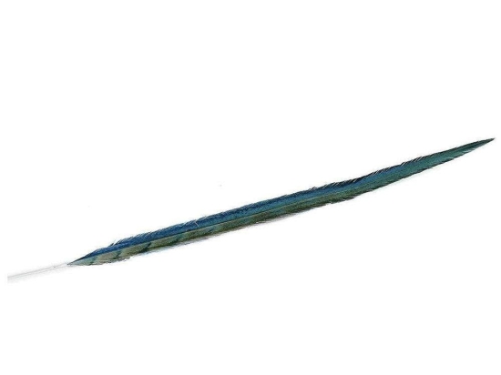 Φτερό Διακοσμητικό FTE224K6 90cm Green-Blue Espiel Χαρτί