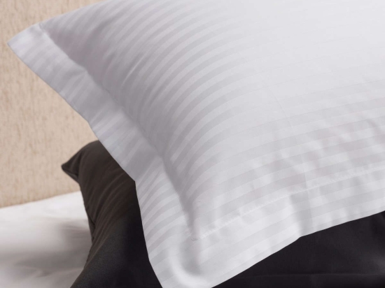 Μαξιλαροθήκες Σετ 2τμχ Oxford 3 Κλειώ-1 White Vesta Home 55X75 55x75cm 100% Βαμβακοσατέν